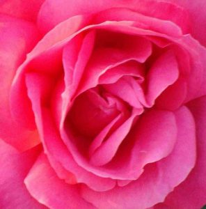 Rosa Maria Callas®